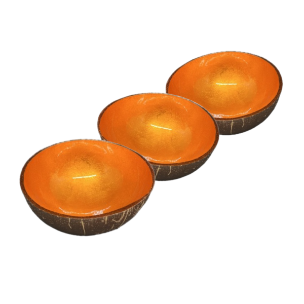 OrangeOrangeX (3)
